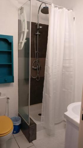 une salle de bain avec une douche avec un rideau de douche dans l'établissement Rêve Bleu, Maison T3 Frontignan Plage avec Jardin, Mer à 250m, Clim & Parking, à Frontignan