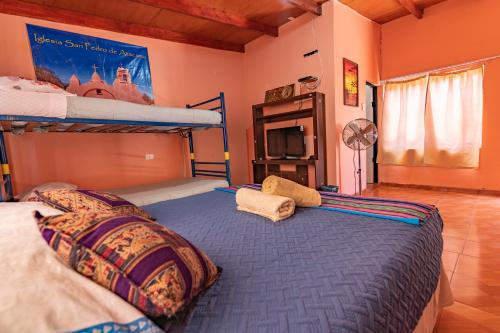 Двухъярусная кровать или двухъярусные кровати в номере hostal nuevo sol y viento