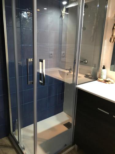 a shower with a glass door in a bathroom at LA PAJARITA in La Franca