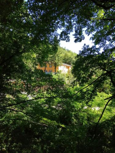 a house on top of a hill with trees at Ostello La Miniera in Massa Marittima
