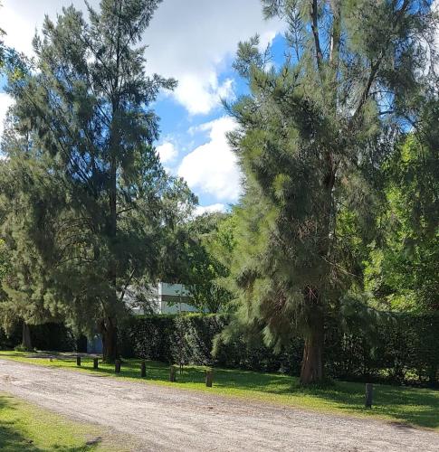 eine unbefestigte Straße mit zwei Bäumen und einem Zaun in der Unterkunft Cabañas Montoya in Paraná