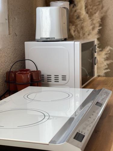 a microwave oven sitting on top of a counter at Le Gîte des Rochettes, 600m à pied du Zoo de Beauval in Saint-Aignan
