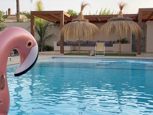 a swimming pool with a pink dolphin in the water at Signorino Suites&Pool in Marsala