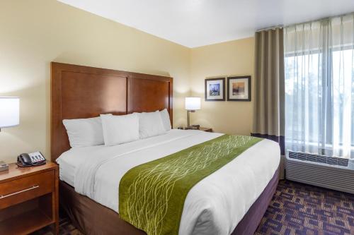 Ένα ή περισσότερα κρεβάτια σε δωμάτιο στο Comfort Inn & Suites North Aurora - Naperville