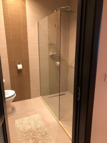 a glass shower in a bathroom with a toilet at Casa Oliver in Braşov