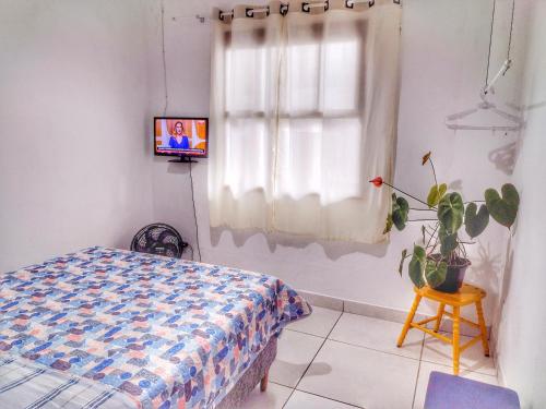 um quarto com uma cama e uma janela com uma planta em Guest House Marinas em Angra dos Reis