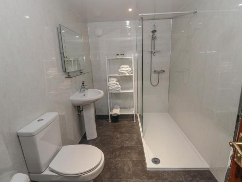 a bathroom with a toilet and a shower and a sink at Barnacre in Morpeth