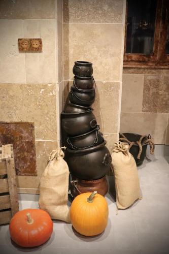 Le grand gîte du Sorcier ! Logement magique
