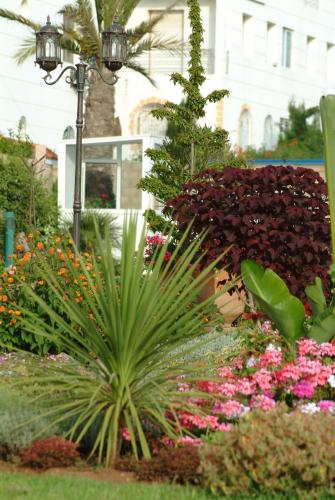 Jardín al aire libre en Appartement Bâtiment J