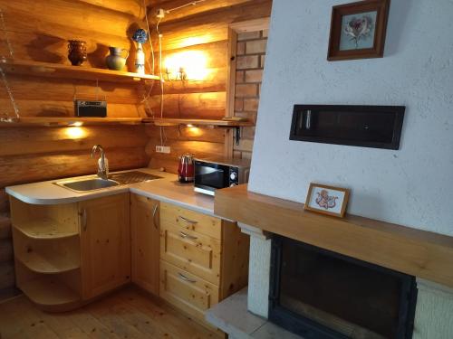 a kitchen with a sink and a counter with a fireplace at Ausekļu dzirnavu pirts in Pastva Barbern