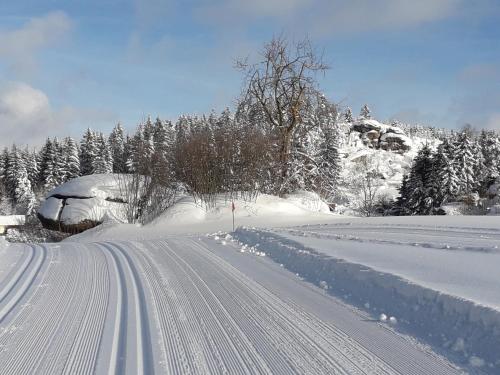 a road covered in snow with trees in the background at Ferienwohnung Kratochvil in Bernreith