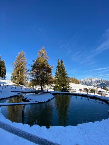 a pond covered in snow with trees and mountains at Kirchenbichlerhof in Pruggern