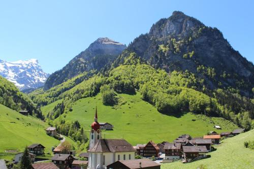 a small village in a green field with a mountain at Hotel Urirotstock in Isenthal