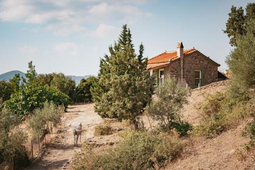 a house on a hill with a horse in front at Toumba Eco Farm Guesthouses in Plomarion