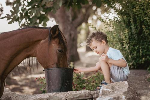 Ein kleiner Junge streichelt ein Pferd in einem Eimer in der Unterkunft Toumba Eco Farm Guesthouses in Plomari