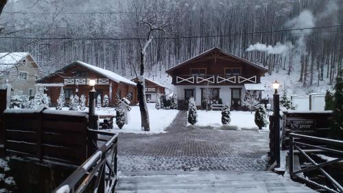 a house in the snow with lights on at U Druziv in Polyana