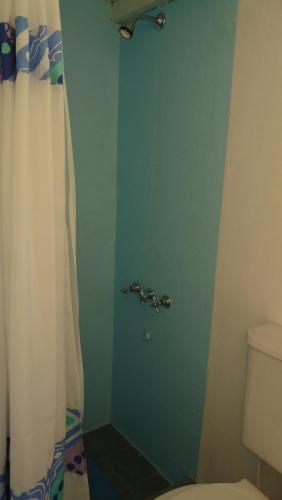 ein Bad mit einem Duschvorhang und einem WC in der Unterkunft El Jardin de Nora in Tandil