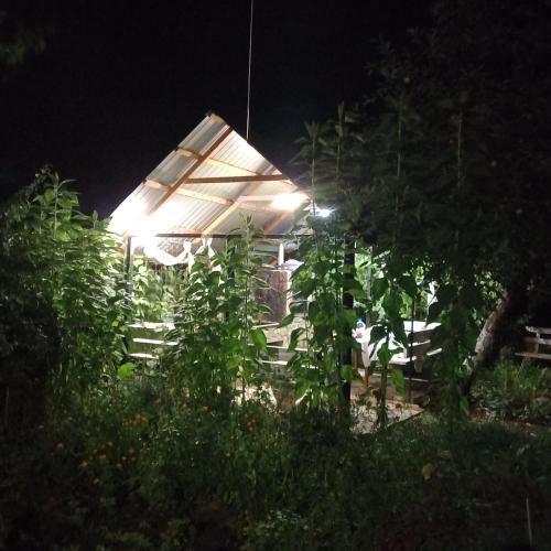 a house with a lit up roof at night at Три горішки in Yaremche