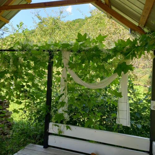 a pergola with a white curtain and ivy at Три горішки in Yaremche