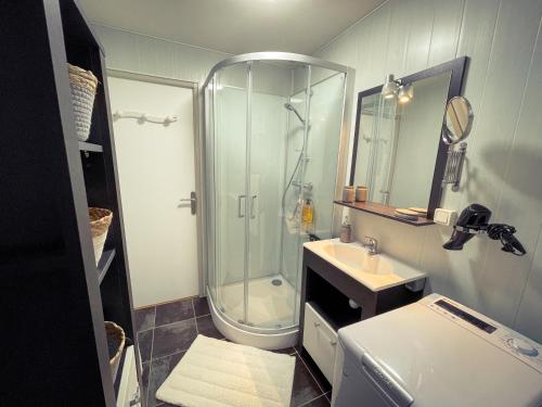a small bathroom with a shower and a sink at "Le Noeud vert" Appartement sur le thème de Nevers, 65 m2 en coeur de ville, parking à 200M avec accès inclus à salle de sport de 2000m2, Sauna & Hammam, by PRIMO C0NCIERGERIE in Nevers