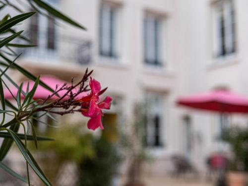 a pink flower in front of a building at Clos Saint Martin in Caen