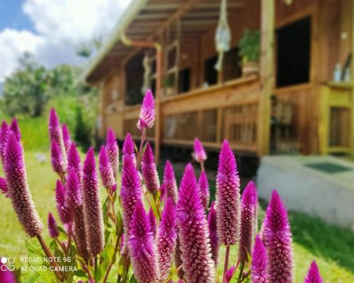 Сад в Cabañas Villa Juliana