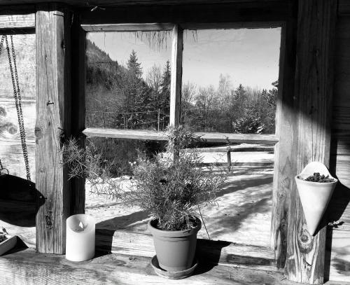 a window with two potted plants on a porch at Charmant Mazot in Saint-Gervais-les-Bains