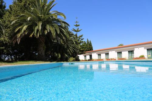 une grande piscine bordée de palmiers et un bâtiment dans l'établissement Flag Hotel Santarém, à Pernes