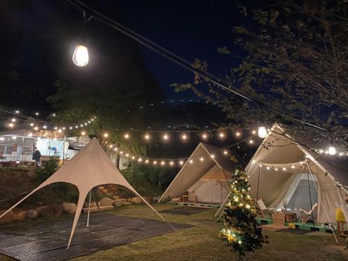 桃園區的住宿－晃晃印地安帳棚露營區，一组帐篷,配有灯和圣诞树