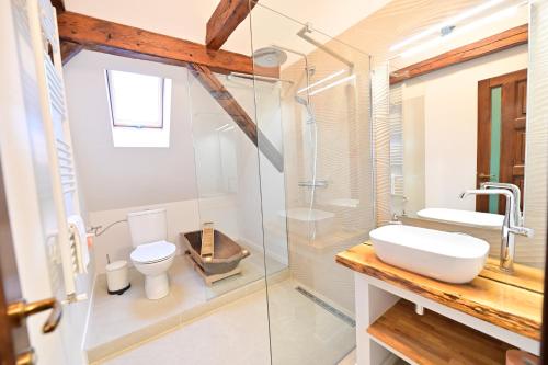 een badkamer met een wastafel, een toilet en een douche bij FLH - Limette Home in Sibiu