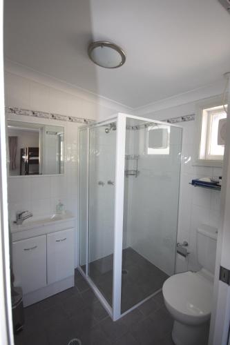 a bathroom with a shower and a toilet and a sink at The Lions Lair Lodge in Smiggin Holes