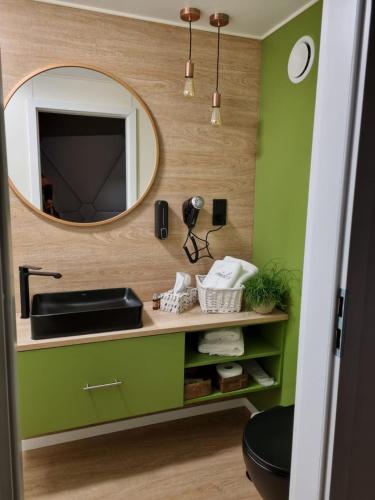 a bathroom with a sink and a mirror at Leniwka in Świebodzin