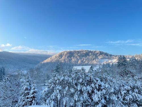 a snow covered forest with trees and a mountain at Panska Hata in Yaremche