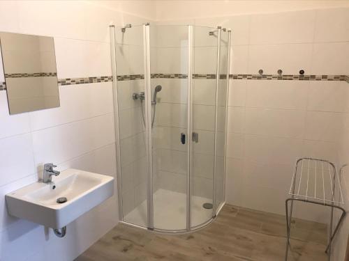 a bathroom with a shower and a sink at U Jeřába - komplex C in Horní Věstonice