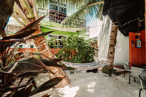 Fotografie z fotogalerie ubytování Oceana Boutique v Maafushi
