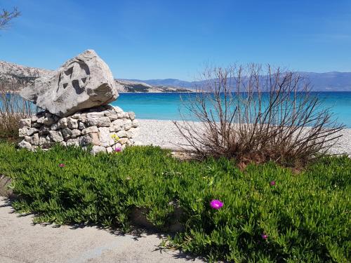 a rock sitting on top of a field of flowers at Apartments Mrkus in Baška
