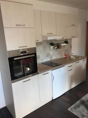 Kuchyň nebo kuchyňský kout v ubytování Sunčani Breg apartman 10