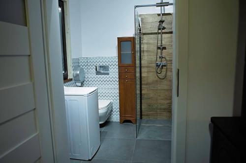 a bathroom with a shower and a toilet and a sink at Leśna Osada na Kaszubach - drewniane domy na wynajem in Bartoszylas