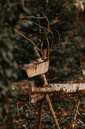a bird feeder with a branch on top of it at Gîtes du Bulz, en pleine forêt proche de la mer in Pleyber-Christ