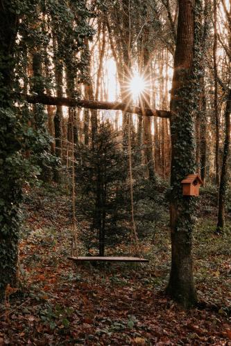 a swing hanging from a tree in a forest at Gîtes du Bulz, en pleine forêt proche de la mer in Pleyber-Christ