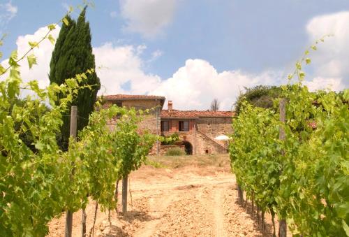 a view of a vineyard with a building in the background at Villa Cenerentola in Trequanda