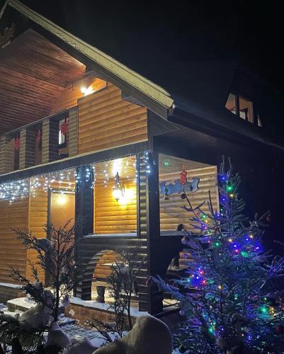 a christmas tree in front of a house with christmas lights at Grisli house in Gauja
