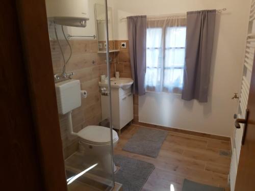 a small bathroom with a toilet and a window at Kuća za odmor Tupek in Zagreb