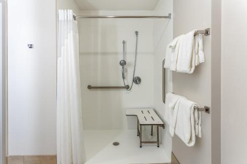 a bathroom with a shower with a shower curtain at Holiday Inn Express & Suites - Springfield North, an IHG Hotel in Springfield