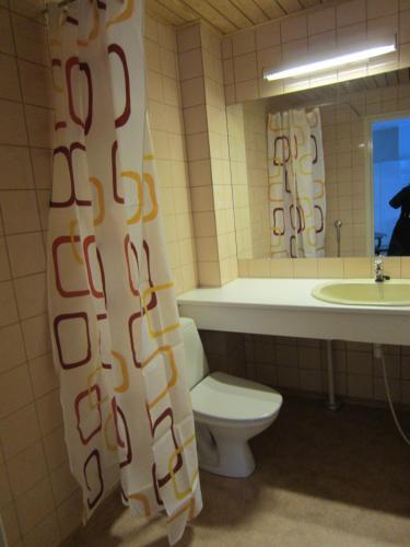 a bathroom with a toilet and a sink and a mirror at Hostelli Kuninkaankartano in Kuninkaanlähde