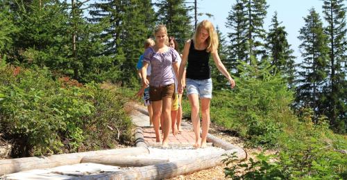 two women and a child walking on a trail at Alpenperle in Ramsau am Dachstein