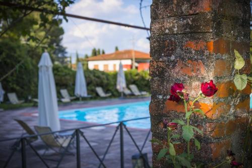 a tree with a flower on it next to a pool at Hotel Villa La Principessa in Lucca