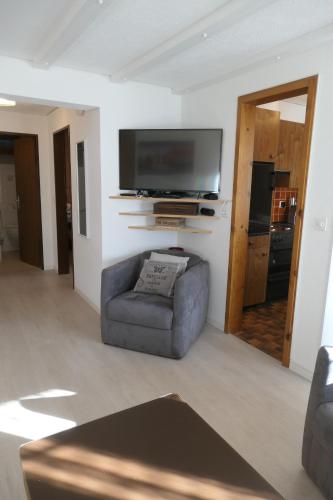 TV a/nebo společenská místnost v ubytování Chalet Valeria