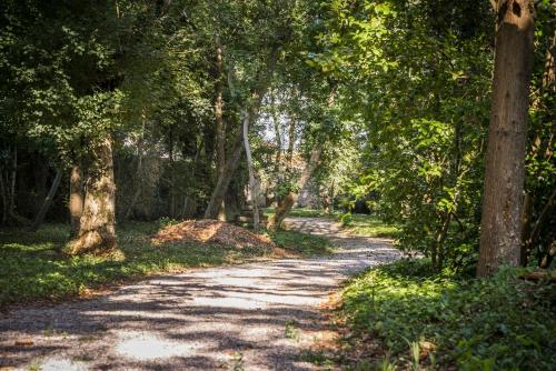 a dirt road with trees on both sides at Hotel Villa La Principessa in Lucca