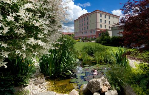 a pond in a garden with a building in the background at Francis Palace in Františkovy Lázně